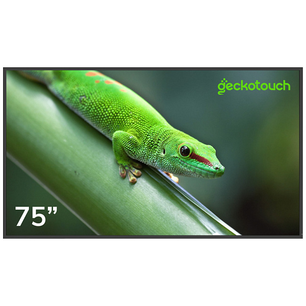 Geckotouch 75DF, профессиональный дисплей 75"