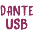 Конвертеры DANTE-USB
