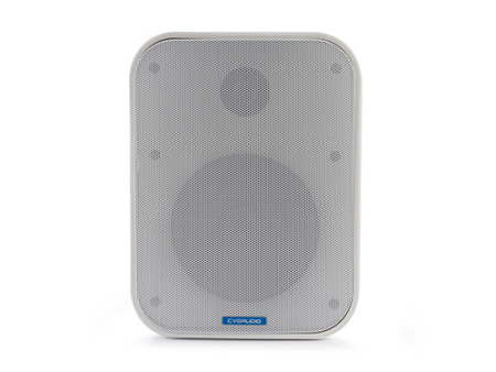 CVGaudio OSR508TW, двухполосная indoor/outdoor акустическая система