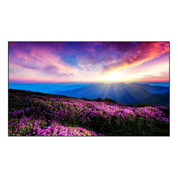 Prestel VWP-6535SB, жк панель для видеостен 65"