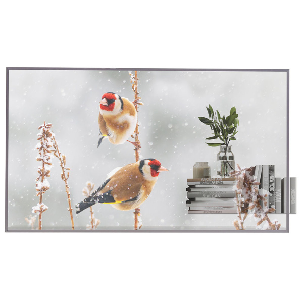 LG 55EW5P-M, прозрачный OLED-дисплей 55"