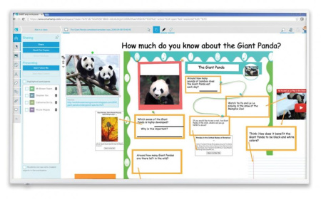 Дисплей SMART Board 2075 Interactive Display без распознавания касаний с ключом активации SMART Notebook