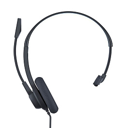 Accutone DM220 2.5 - Гарнитура 