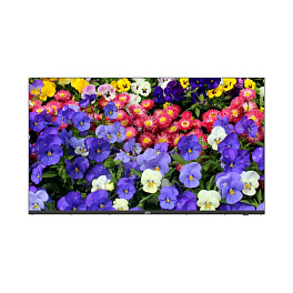 Uniview MW3243-F-V, ЖК панель 43" 4K UHD
