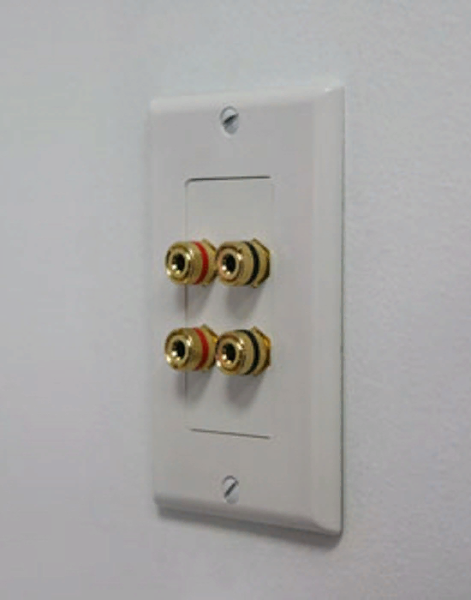 CVGaudio WSP02, двухканальный настенный декоративный кабельный вывод CVGaudio WSP02, двухканальный настенный декоративный кабельный вывод