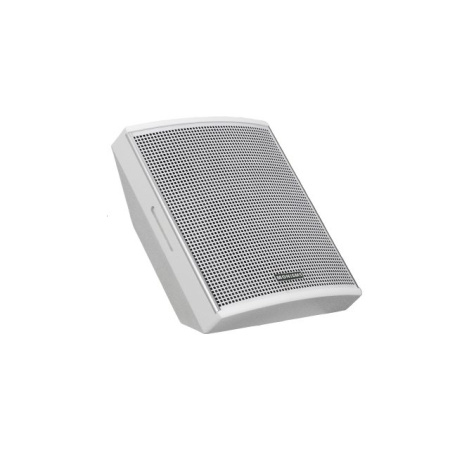 Monisms MNS-8A11WS-1P, настенный громкоговоритель