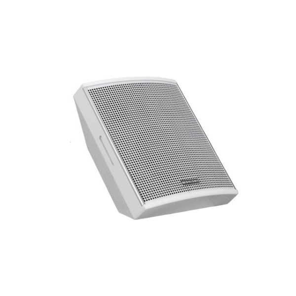 Monisms MNS-8A11WS-1P, настенный громкоговоритель