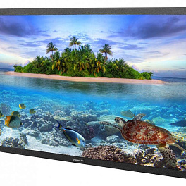 Всепогодная уличная ЖК панель Peerless-AV UV492 (Серия UltraView, 49", 3840x2160 4K, 500кд/м2, 1100:1, 178град, IP55, темп.режим -30/+50)