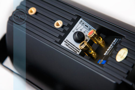 CVGaudio RF416TBl, двухполосная настенная акустическая система