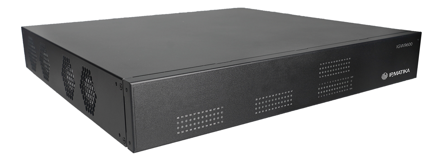 IPmatika IGW9600, VoIP-шлюз на 96 портов FXS