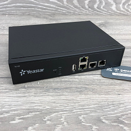 Yeastar NeoGate TE100, VoIP шлюз